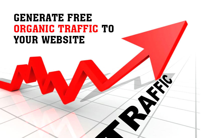 organic traffic free search engine traffic
