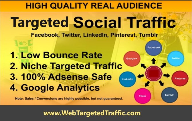 Learn How to Boost Targeted Website Traffic Through Social Media
