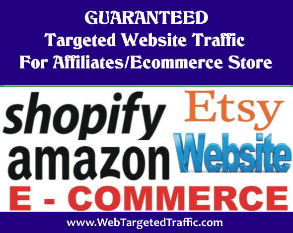 GUARANTEED Targeted Website Traffic For Affiliates/Ecommerce Store