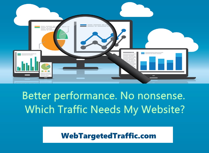 Better performance. No nonsense. Which Traffic Needs My Website?